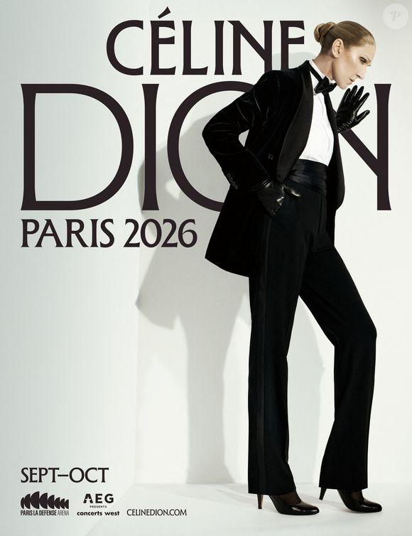 Les affiches qui annoncent le retour sur scène de Céline Dion à Paris.

Photo : celinedion.com via Bestimage