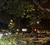 Un arbre bloque le Bld Malesherbes suite au déluge à Paris, France, le 25 juin 2025. © Elie Chocron / Bestimage