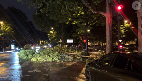 Un arbre bloque le Bld Malesherbes suite au déluge à Paris, France, le 25 juin 2025. © Elie Chocron / Bestimage