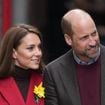 "Ils sont incroyablement déconnectés de la réalité" : Kate et William vivement critiqués par une célèbre association, un député prend leur défense