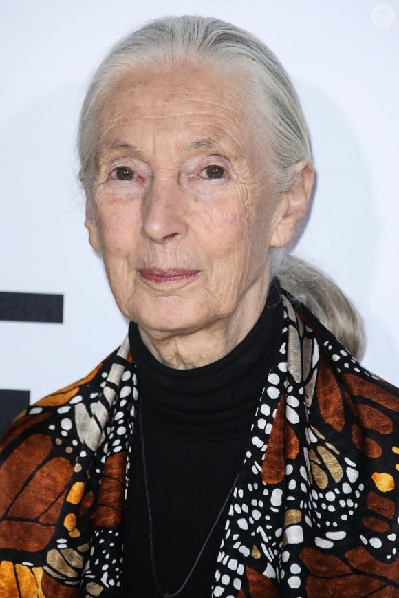 La zoologiste, primatologue, éthologue et anthropologue anglaise Jane Goodall (Dame Jane Morris Goodall DBE, anciennement baronne Jane van Lawick-Goodall) arrive à la première à Los Angeles du documentaire 'Jane' de National Geographic Documentary Films qui se tient au Hollywood Bowl le 9 octobre 2017 à Hollywood, Los Angeles, Californie, États-Unis. Photo par Xavier Collin/Image Press Agency/ABACAPRESS.COM