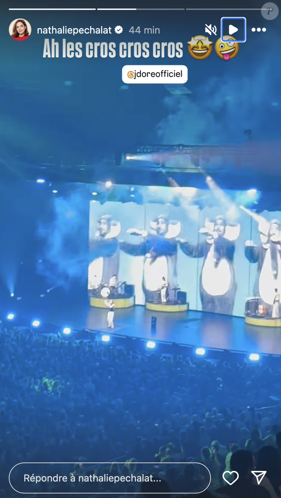 La maman d'Alice et Jeanne a assisté au concert de Julien Doré, à Paris, et le moins que l'on puisse dire, c'est que l'ambiance était au top

 Nathalie Péchalat s'est rendue au concert de Julien Doré à Paris, le 6 avril 2025. Instagram @nathaliepechalat
