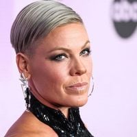 Pink : la chanteuse prend la pose avec Willow, sa fille de 14 ans, et elle a bien grandi !