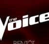 Et le jury se renouvelle cette année.

The Voice bientôt de retour sur TF1