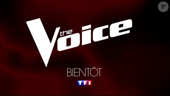 Et le jury se renouvelle cette année.

The Voice bientôt de retour sur TF1