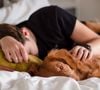 Une personne sur deux dort avec son animal.