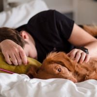 Nous pensions que dormir avec notre chien ou notre chat était une idée réconfortante et saine, la science prouve que cela perturbe le sommeil