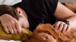Nous pensions que dormir avec notre chien ou notre chat était une idée réconfortante et saine, la science prouve que cela perturbe le sommeil