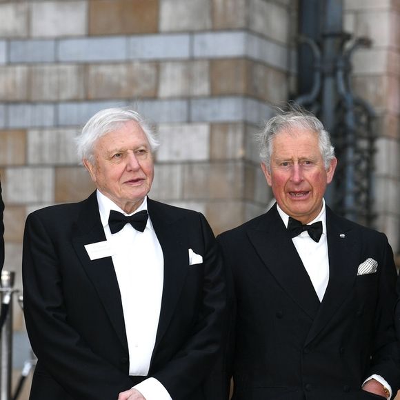 Le prince William, duc de Cambridge, Sir David Attenborough, le prince Charles, prince de Galles, le prince Harry, duc de Sussex lors de la première mondiale de la série Netflix "Our Planet" au Musée d'histoire naturelle de Londres. © Backgrid UK/ Bestimage
