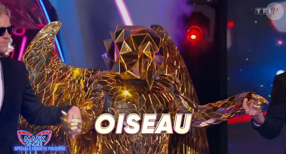 Et se cachait sous le costume de l'Oiseau 

L'Oiseau dans Mask Singer, capture d'écran TF1