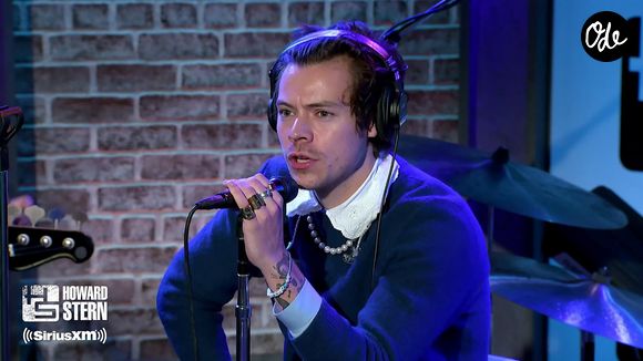 Harry Styles raconte à Howard Stern la nuit où il a été agressé au couteau et révèle un détail sur lequel la presse s'est trompée, il n'y avait pas qu'un seul agresseur mais plusieurs.
Bestimage