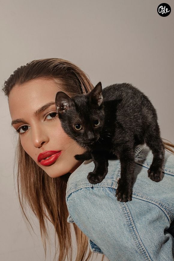 Selon lui, il faut d'abord oublier l'idée d'une hiérarchie comparable à celle que l'on observe chez d'autres animaux domestiques. 

Jesus Goscan /Unsplash