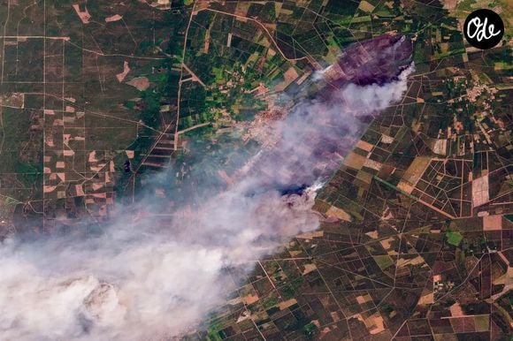 Incendie en Gironde: photos satellites du l'immense nuage de fumée au-dessus du Porge et de Lège-Cap Ferret, France, le 24 juillet 2026. © PLANET LABS PBC/Bestimage