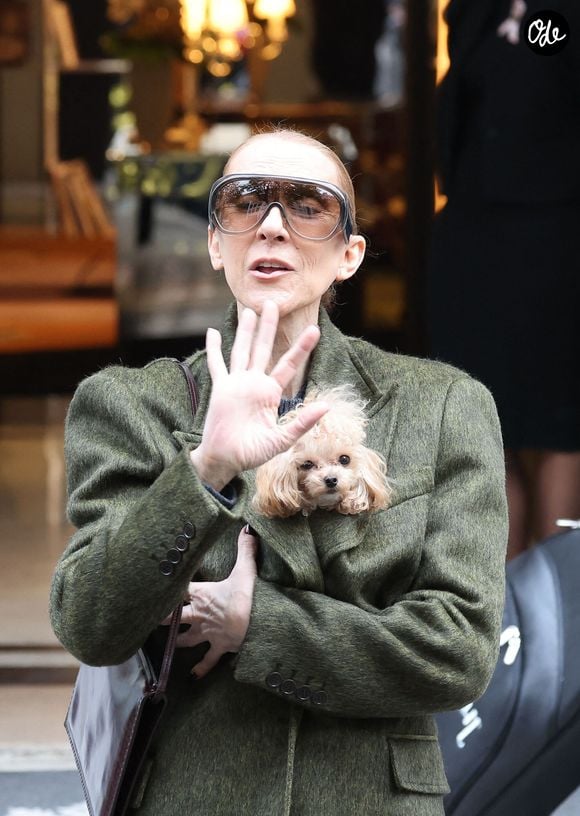 Céline Dion quitte l'hôtel "Royal Monceau" avec ses fils Nelson et Eddy et sa chienne Madisonaprès sa série de concerts à Paris le 19 octobre 2026. 

© Cyril Moreau/Bestimage
