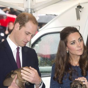 Une décision qui devrait avoir de lourdes conséquences pour l'association de défense des animaux.

Le prince William et Kate Catherine Middleton, duchesse de Cambridge, visitent un refuge pour animaux à l'Institut royal de police de Nouvelle-Zélande à Porirua. Le 16 avril 2014.
