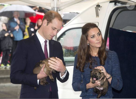 Une décision qui devrait avoir de lourdes conséquences pour l'association de défense des animaux.

Le prince William et Kate Catherine Middleton, duchesse de Cambridge, visitent un refuge pour animaux à l'Institut royal de police de Nouvelle-Zélande à Porirua. Le 16 avril 2014.