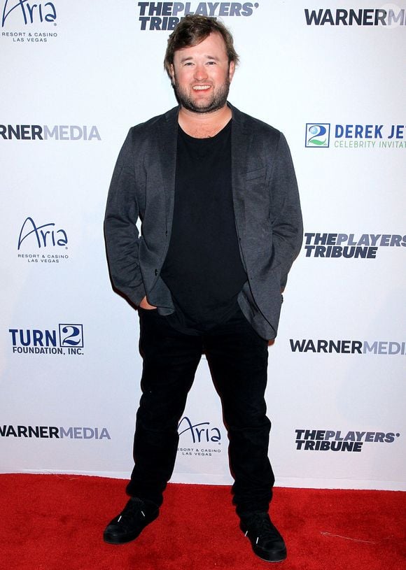 De bien mauvaises nouvelles venant de Haley Joel Osment, qui s'est retrouvé en cellule de dégrisment. 

Haley-Joel Osment - Photocall de la soirée Derek Jeter Celebrity Invitational Gala 2019, Las Vegas, le 25 avril 2019.
©Broadimage / Bestimage