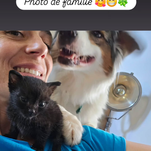 Aperçu dans les bras de Marion aux côtés de leur chien, le félin marque un moment tendre dans la vie du couple. 

Story Instagram de Laurent Jalabert le 29 juin 2025.