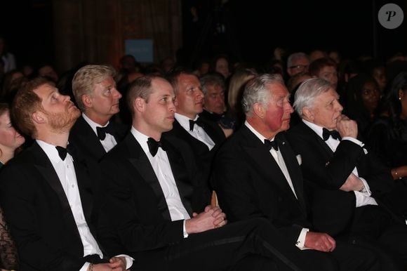 Le prince William, duc de Cambridge, Sir David Attenborough, le prince Charles, prince de Galles, le prince Harry, duc de Sussex, lors de la première de la série Netflix "Our Planet" au Musée d'Histoires Naturelles à Londres, le 4 avril 2019.