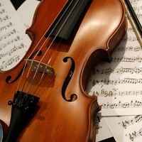 Un chef d’orchestre envoie valser un violon à plusieurs millions de dollars en plein concert, la facture risque d’être salée