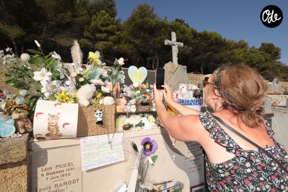 Aux fleurs s'ajoutent de nombreux objets évoquant son amour des animaux, notamment des représentations de chiens, de chats ou de phoques.

Les touristes se recueillent en plein été sur la tombe de Brigitte Bardot, le 10 août 2026. 

© Franz Chavaroche / Bestimage
