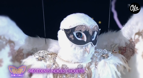 l'un d'entre eux a vendu plus de 20 millions de disques dans le monde !

La Chouette dans Mask Singer - capture d'écran TF1