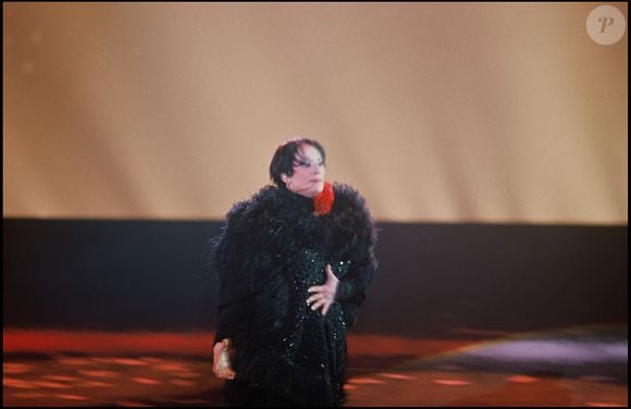 Archives - La chanteuse Barbara sur scène au Zénith de Paris en 1986.
Crédit : BERTRAND RINDOFF PETROFF / BESTIMAGE