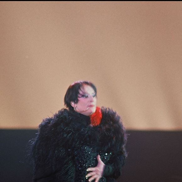 Archives - La chanteuse Barbara sur scène au Zénith de Paris en 1986.
Crédit : BERTRAND RINDOFF PETROFF / BESTIMAGE