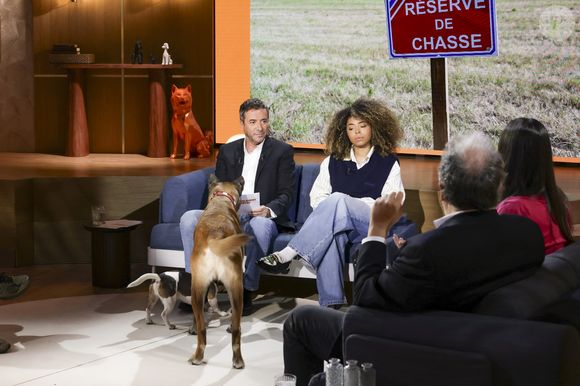 Bernard Montiel et Oli sur plateau de l'émission "Animalement Vôtre" présentée par B.Montiel et diffusée le 25 janvier 2026 sur France 3, à Paris, France, le 3 décembre 2025. © Jack Tribeca/Bestimage