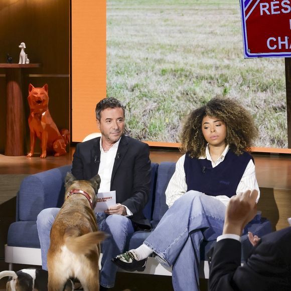 Bernard Montiel et Oli sur plateau de l'émission "Animalement Vôtre" présentée par B.Montiel et diffusée le 25 janvier 2026 sur France 3, à Paris, France, le 3 décembre 2025. © Jack Tribeca/Bestimage