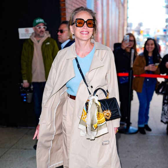 Sharon Stone est vue le 30 mars 2026 à New York City.
STARMAX / BESTIMAGE