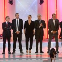 44 ans de carrière et 9 ans d’absence : une figure emblématique de la télé signe son grand retour ! "J’ai quitté France Télévisions par amour"