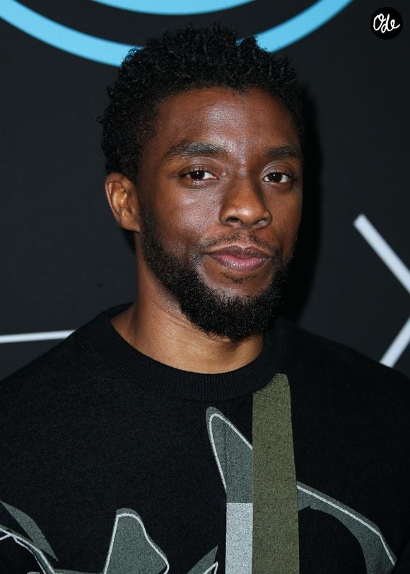 Chadwick Boseman - Les célébrités posent lors du photocall de la soirée "GQ All Star Party" à l'hôtel NoMad de Los Angeles le 17 février 2018.
Crédit : Backgrid USA / Bestimage