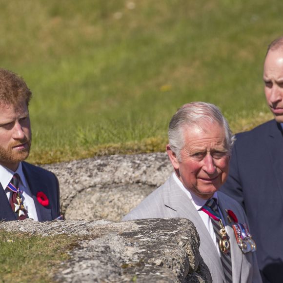 Le duc de Sussex va se rendre au Royaume-Uni pour les WellChild Awards, un évènement qui lui tient très à cœur. 

Le roi Charles III, le prince William, prince de Galles  et le prince Harry visitent les tranchées de Vimy lors des commémorations des 100 ans de la bataille de Vimy dans laquelle de nombreux Canadiens ont trouvé la mort lors de la Première Guerre mondiale, au Mémorial national du Canada, à Vimy, France, le 9 avril 2017. © EXPRESS SYNDICATION / BESTIMAGE