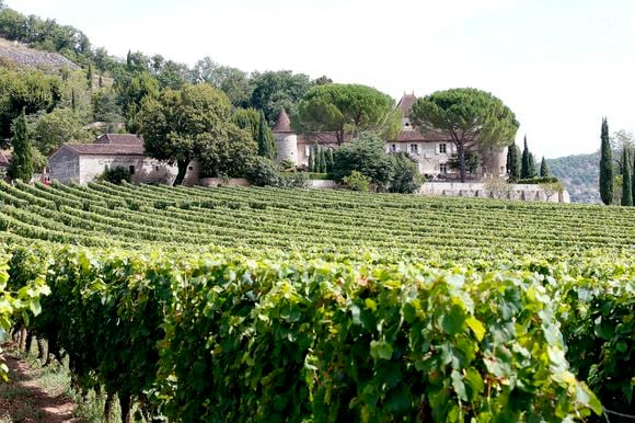 Le public peut visiter le domaine, ses jardins et ses chais, ainsi que découvrir la collection d’art du prince Henrik.

Rendez-vous avec la reine Margrethe II de Danemark dans son château de Cayx, près de Cahors le 16 août 2018. 
© Patrick Bernard / Bestimage