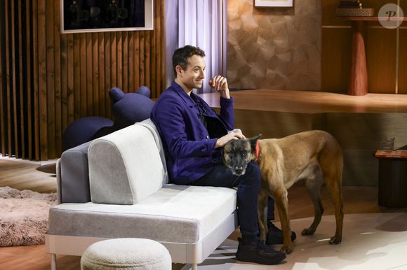 Exclusif - Hugo Clément sur plateau de l'émission "Animalement Vôtre" présentée par B.Montiel et diffusée le 1er février 2026 sur France 3, à Paris, France, le 3 décembre 2025. © Jack Tribeca/Bestimage