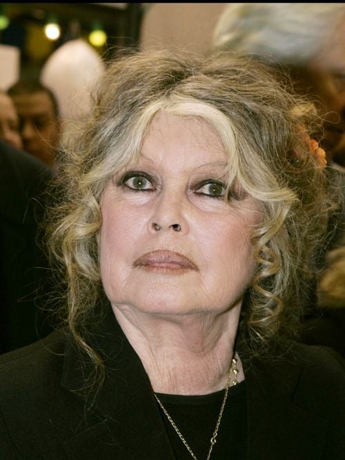Pas de musée grand public ! Ce que la Fondation Brigitte Bardot envisage vraiment pour sa propriété de La Madrague