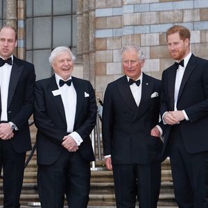 Coïncidence ou volonté de retisser des liens ?

Le prince William, Sir David Attenborough, Charles et le prince Harry, duc de Sussex, à la première de la série Netflix "Our Planet" au Musée d'Histoires Naturelles à Londres, le 4 avril 2019.
©Backgrid UK/ Bestimage