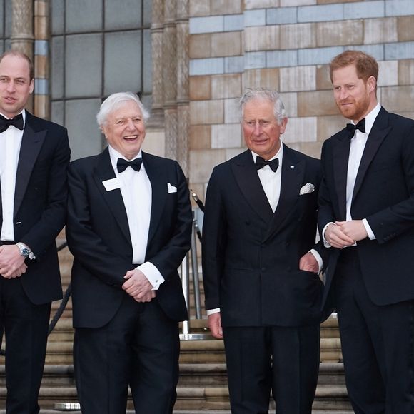 Coïncidence ou volonté de retisser des liens ?

Le prince William, Sir David Attenborough, Charles et le prince Harry, duc de Sussex, à la première de la série Netflix "Our Planet" au Musée d'Histoires Naturelles à Londres, le 4 avril 2019.
©Backgrid UK/ Bestimage