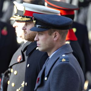 Graham Craker avait lui aussi parlé de la disparition de Diana, dans une interview relatée par "Hello !" "Je me suis approché de [William] et je lui ai dit : 'Je suis vraiment désolé d'apprendre cette mauvaise nouvelle'. William m'a répondu, très triste, 'Merci'."

Le prince Harry, duc de Sussex, le prince William, duc de Cambridge - La famille royale d'Angleterre lors du National Service of Remembrance à Londres le 10 novembre 2019. AGENCE / BESTIMAGE