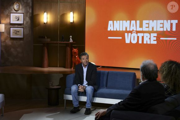 Exclusif - Bernard Montiel 
Jack Tribeca / Bestimage