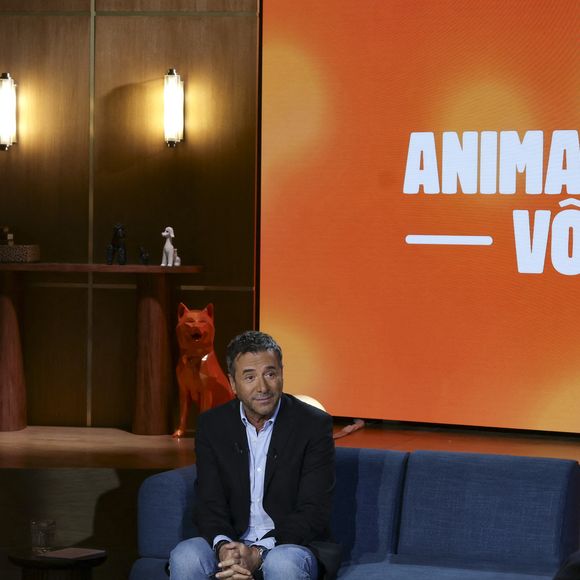 Exclusif - Bernard Montiel 
Jack Tribeca / Bestimage