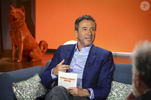 Exclusif - Bernard Montiel, sur plateau de la nouvelle émission "Animalement Vôtre" présentée par Bernard Montiel et diffusée le 9 novembre sur France 3, à Paris, France, le 13 octobre 2025. © Jack Tribeca/Bestimage
