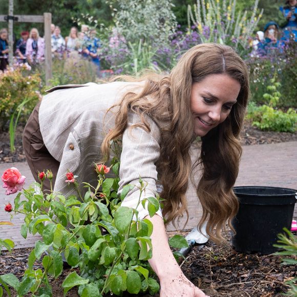 La princesse de Galles plante une rose lors d'une visite du jardin de bien-être de la RHS à l'hôpital de Colchester, dans l'Essex. Cette visite coïncide avec la donation de 50 plants de Catherine's Rose, nommés en l'honneur de la princesse par la RHS, dont les fonds provenant des ventes seront reversés à la Royal Marsden Cancer Charity. 2 juillet 2025. Photo par Stefan Rousseau/PA Wire/ABACAPRESS.COM