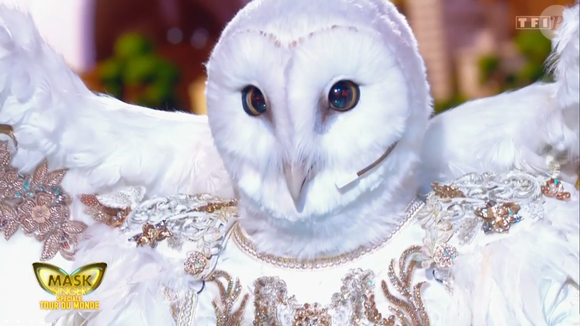 La chouette dans Mask Singer 9, prime du 22 mai - capture d'écran TF1