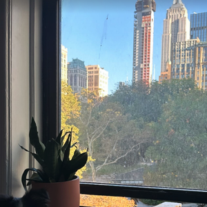 Tximista Lizarazu jouit d’un superbe appartement avec vue sur l’Empire State Building et le parc de Madison Square