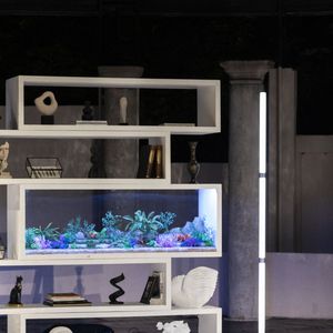 Exclusif - Bruno Salomone et Davy Sardou - Personnalités au spectacle "Au scalpel" lors du Festival de Ramatuelle. Le 4 août 2023
Cyril Bruneau / Festival de Ramatuelle / Bestimage