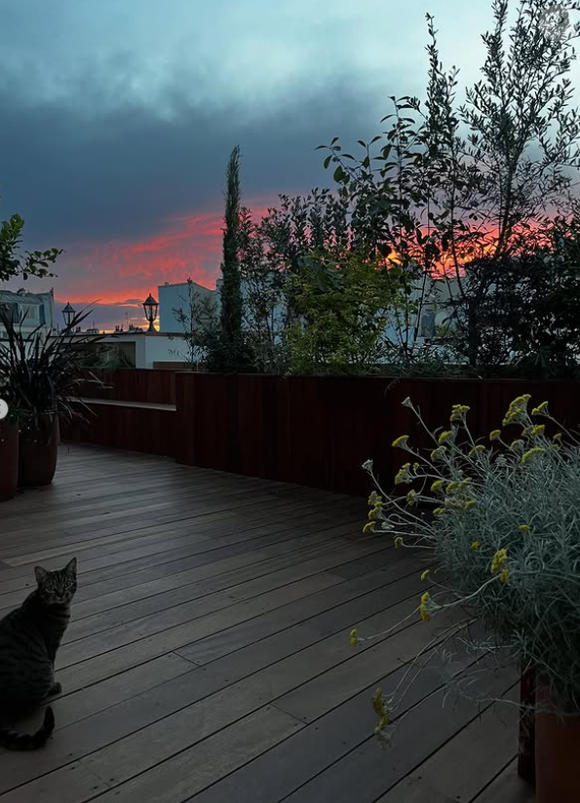 Mais surtout, Etienne Carbonnier possède une grande terrasse garnie de plantes vertes et enrichie d'une table et d'un banc pour recevoir.

Etienne Carbonnier donne un aperçu de son appartement.