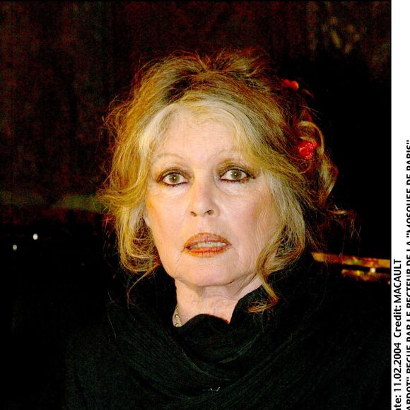 Brigitte Bardot est décédée à l’âge de 91 ans.

Brigitte Bardot reçue par le recteur de la Mosquée de Paris. ©Jean Louis Macault / Bestimage