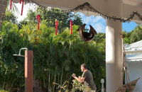 Manon Chevallier, Instagram